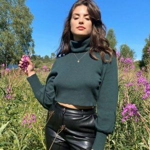 Aritzia Wilfred Rebecca Wool Sweater